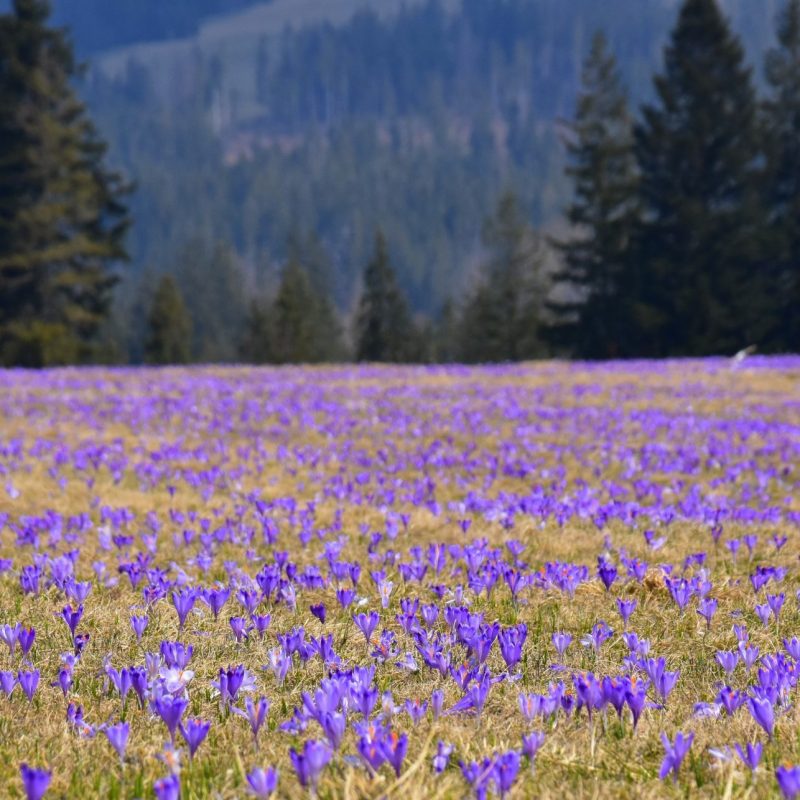Majowy odpoczynek w górach